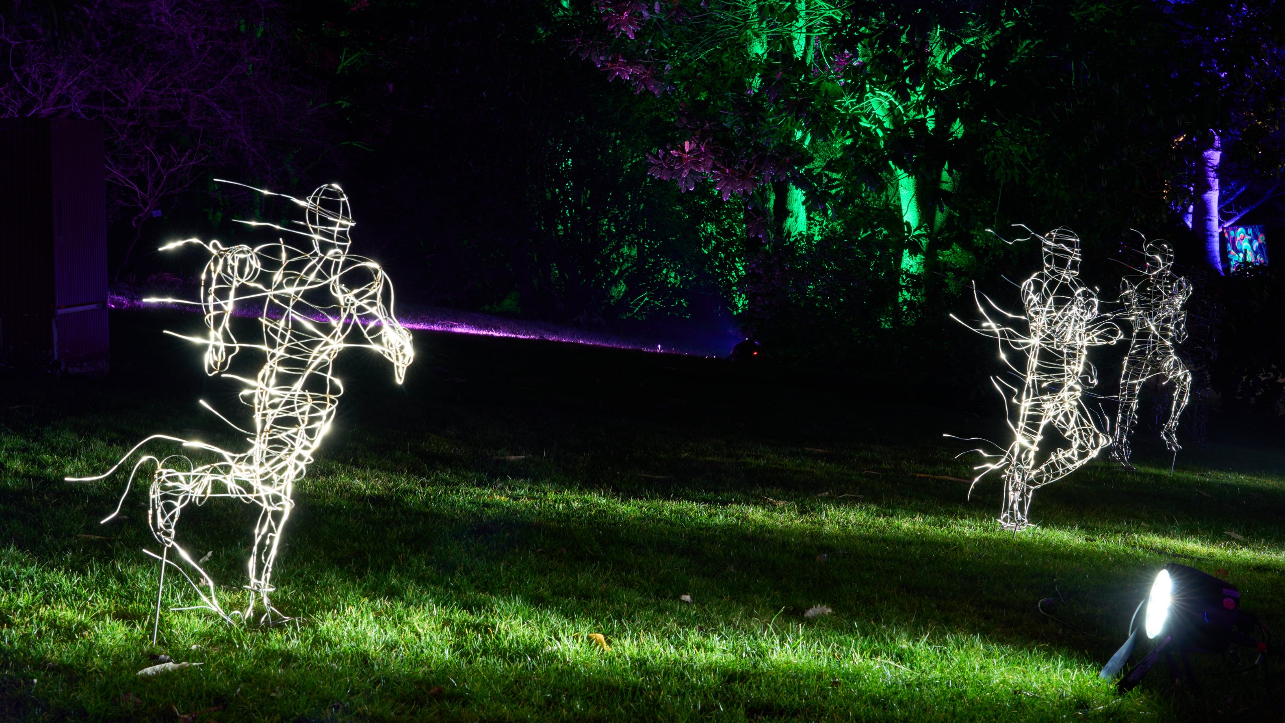 2026 02 05 Parkleuchten 0436